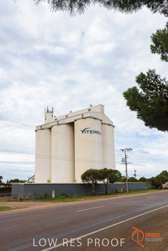 VITERRA / COWELL_0028_(160420)