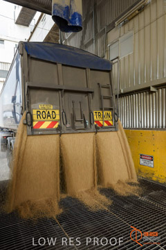 VITERRA / PT_LINCOLN_TERMINAL_STORAGE_223_160421