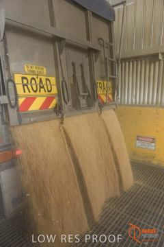 VITERRA / PT_LINCOLN_TERMINAL_STORAGE_225_160421