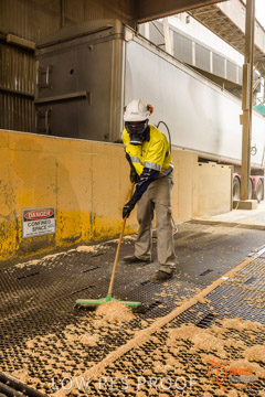 VITERRA / PT_LINCOLN_TERMINAL_STORAGE_568_160421
