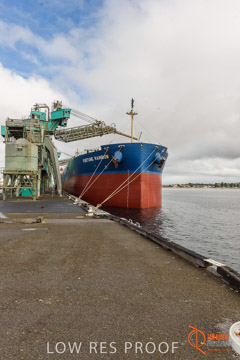 VITERRA / PT_LINCOLN_TERMINAL_STORAGE_599_160421