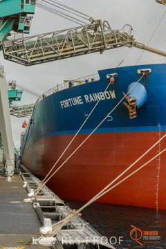 VITERRA / PT_LINCOLN_TERMINAL_STORAGE_604_160421