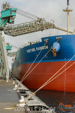 VITERRA / PT_LINCOLN_TERMINAL_STORAGE_605_160421