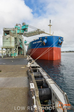 VITERRA / PT_LINCOLN_TERMINAL_STORAGE_607_160421