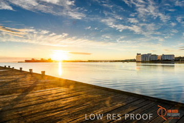 VITERRA / PT_LINCOLN__027_160421