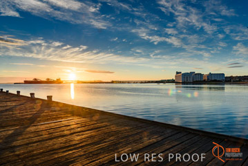 VITERRA / PT_LINCOLN__037_160421