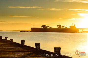 VITERRA / PT_LINCOLN__042_160421