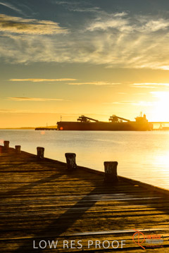 VITERRA / PT_LINCOLN__044_160421