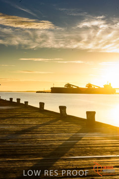 VITERRA / PT_LINCOLN__048_160421