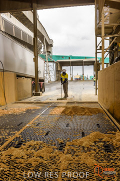 VITERRA / PT_LINCOLN_TERMINAL_STORAGE_558_160421