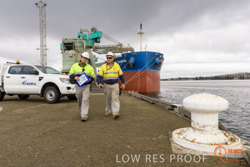 VITERRA / PT_LINCOLN_TERMINAL_STORAGE_665_160421