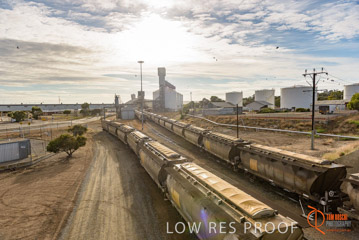 VITERRA / PT_LINCOLN_TERMINAL_STORAGE_TRAIN_009_160421