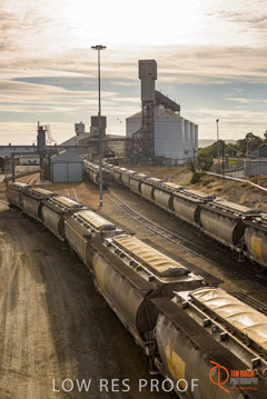 VITERRA / PT_LINCOLN_TERMINAL_STORAGE_TRAIN_014_160421