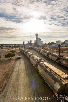 VITERRA / PT_LINCOLN_TERMINAL_STORAGE_TRAIN_016_160421