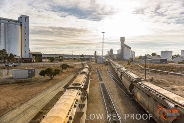 VITERRA / PT_LINCOLN_TERMINAL_STORAGE_TRAIN_019_160421