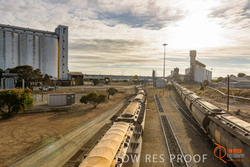 VITERRA / PT_LINCOLN_TERMINAL_STORAGE_TRAIN_021_160421