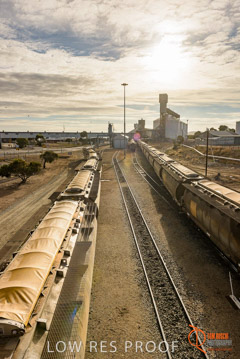 VITERRA / PT_LINCOLN_TERMINAL_STORAGE_TRAIN_022_160421