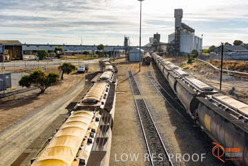 VITERRA / PT_LINCOLN_TERMINAL_STORAGE_TRAIN_027_160421