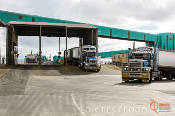 VITERRA / PT_LINCOLN_TERMINAL_STORAGE_261_160421