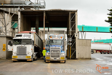 VITERRA / PT_LINCOLN_TERMINAL_STORAGE_522_160421