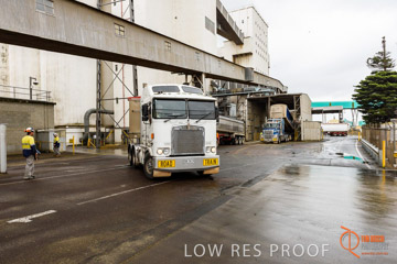 VITERRA / PT_LINCOLN_TERMINAL_STORAGE_539_160421