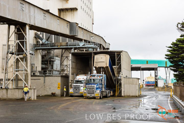 VITERRA / PT_LINCOLN_TERMINAL_STORAGE_541_160421