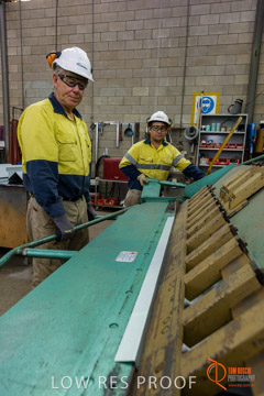 VITERRA / PT_LINCOLN_TERMINAL_STORAGE_438_160421