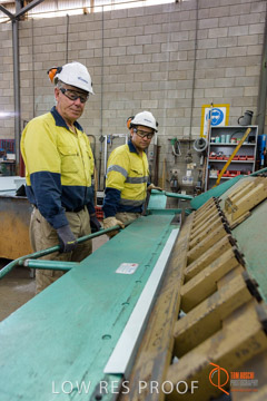 VITERRA / PT_LINCOLN_TERMINAL_STORAGE_439_160421