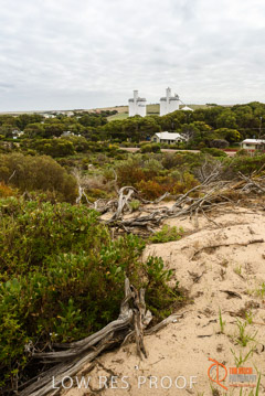 VITERRA / ELLISTON_0005_(160423)