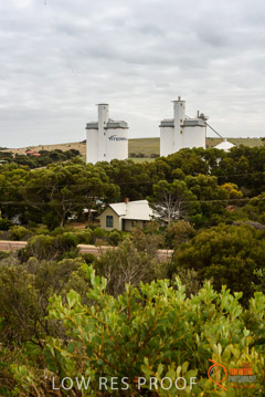 VITERRA / ELLISTON_0011_(160423)