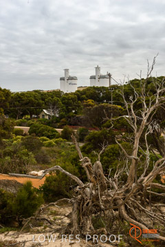 VITERRA / ELLISTON_0012_(160423)