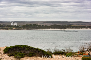 VITERRA / ELLISTON_0014_(160423)