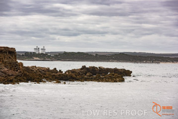 VITERRA / ELLISTON_0024_(160423)