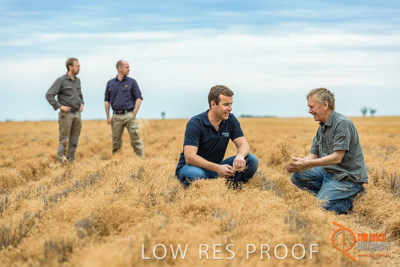 December 2016 / GLENCORE_GRAIN_DOOEN_016_161213_DSC9379