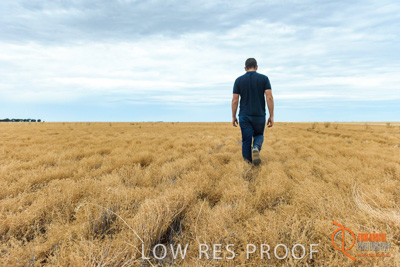 December 2016 / GLENCORE_GRAIN_DOOEN_104_161213_DSC9684