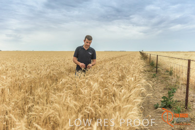 December 2016 / GLENCORE_GRAIN_DOOEN_137_161213_DSC9719