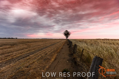 December 2016 / GLENCORE_GRAIN_DOOEN_202_161213_DSC6524