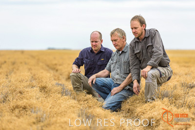 December 2016 / GB_RUTHES_FARM_088_161213_DSC9304