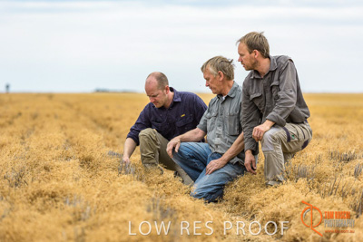 December 2016 / GB_RUTHES_FARM_090_161213_DSC9311