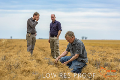 December 2016 / GB_RUTHES_FARM_094_161213_DSC9326