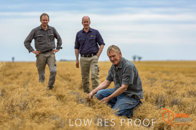 December 2016 / GB_RUTHES_FARM_096_161213_DSC9334