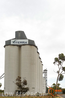 December 2016 / COONALPIN_001_161214_DSC1194