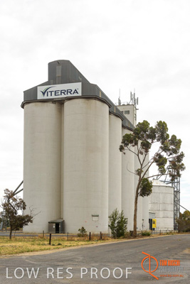 December 2016 / COONALPIN_002_161214_DSC1195