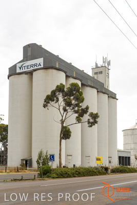 December 2016 / COONALPIN_005_161214_DSC1199