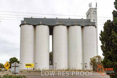 December 2016 / COONALPIN_008_161214_DSC1207