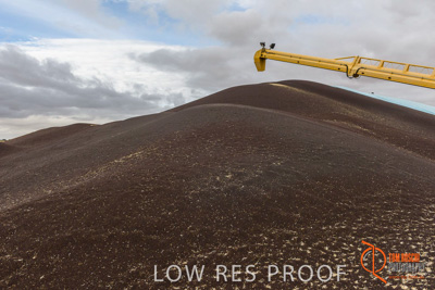 December 2016 / DOOEN_001_161214_DSC9856