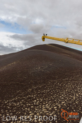 December 2016 / DOOEN_002_161214_DSC9858