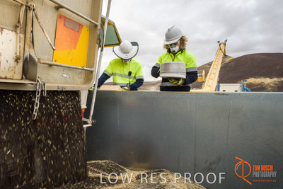 December 2016 / DOOEN_012_161214_DSC9900