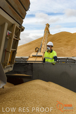 December 2016 / DOOEN_122_161214_DSC0115