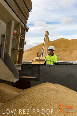 December 2016 / DOOEN_123_161214_DSC0118